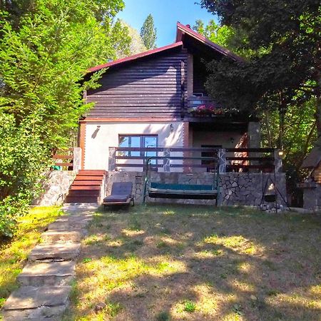 Mountain Family Chalet On Prahova Valley 코마르닉 외부 사진