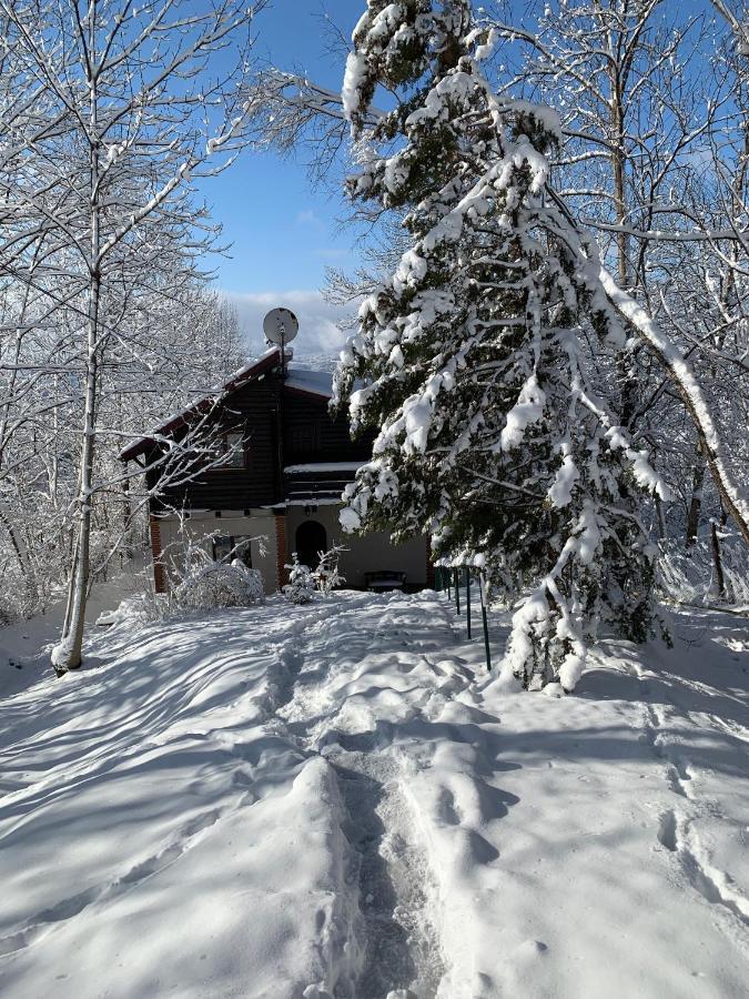 Mountain Family Chalet On Prahova Valley 코마르닉 외부 사진