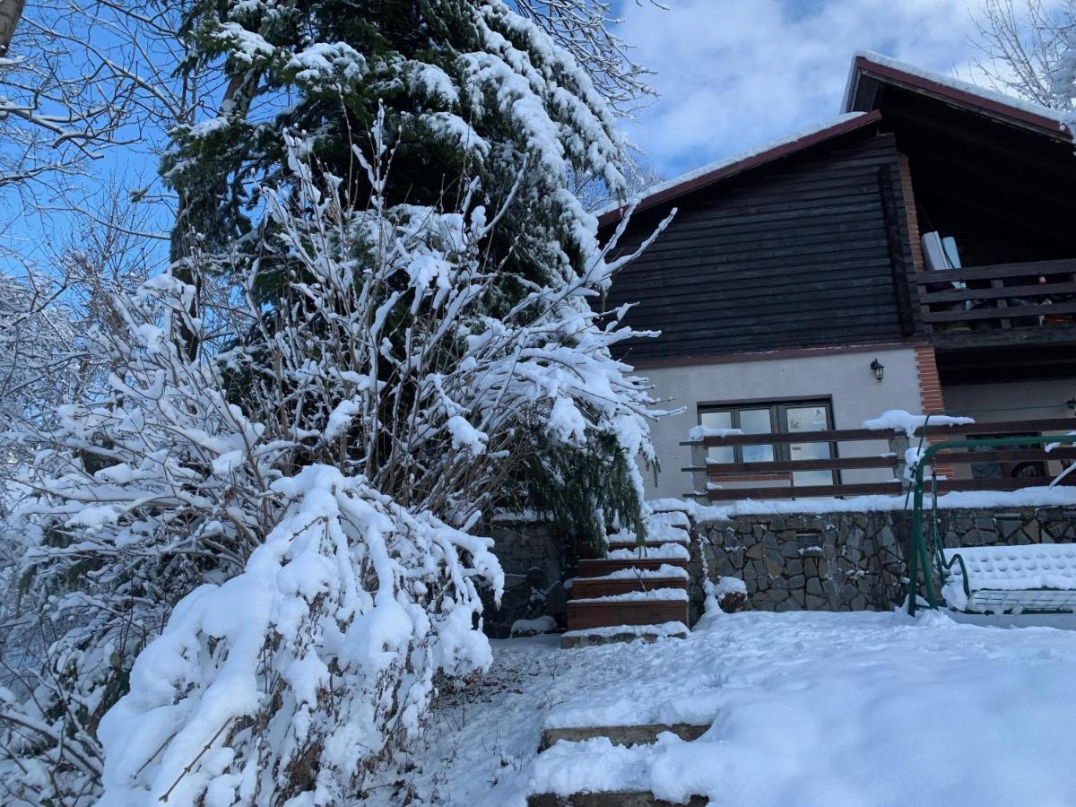 Mountain Family Chalet On Prahova Valley 코마르닉 외부 사진