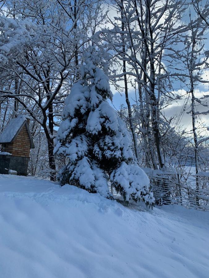 Mountain Family Chalet On Prahova Valley 코마르닉 외부 사진