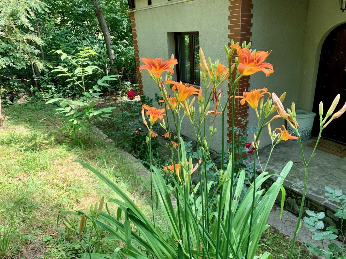 Mountain Family Chalet On Prahova Valley 코마르닉 외부 사진