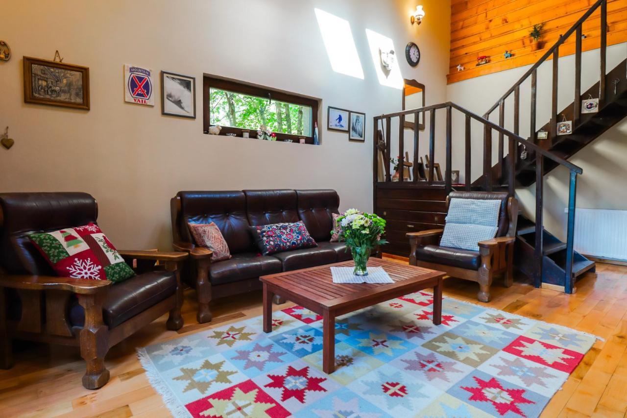 Mountain Family Chalet On Prahova Valley 코마르닉 외부 사진