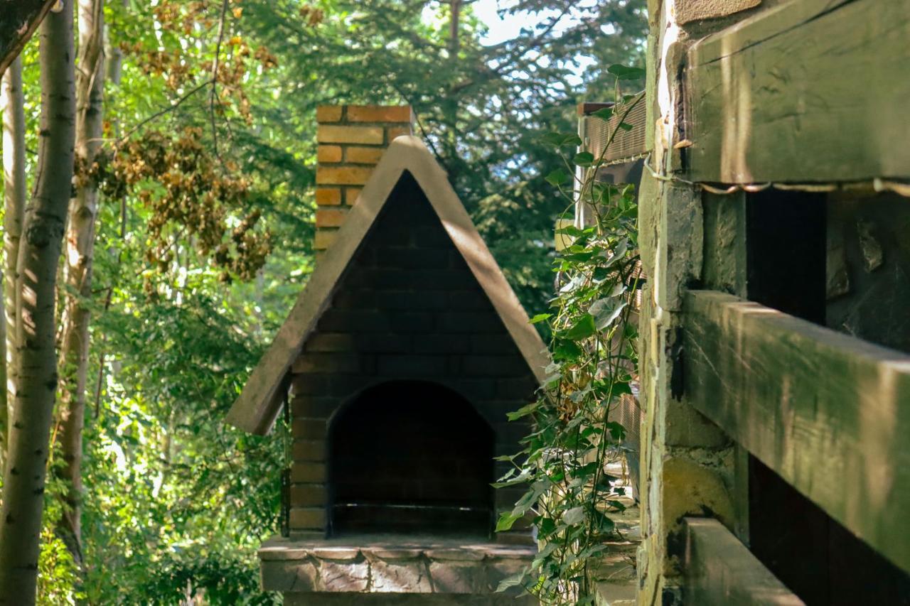 Mountain Family Chalet On Prahova Valley 코마르닉 외부 사진