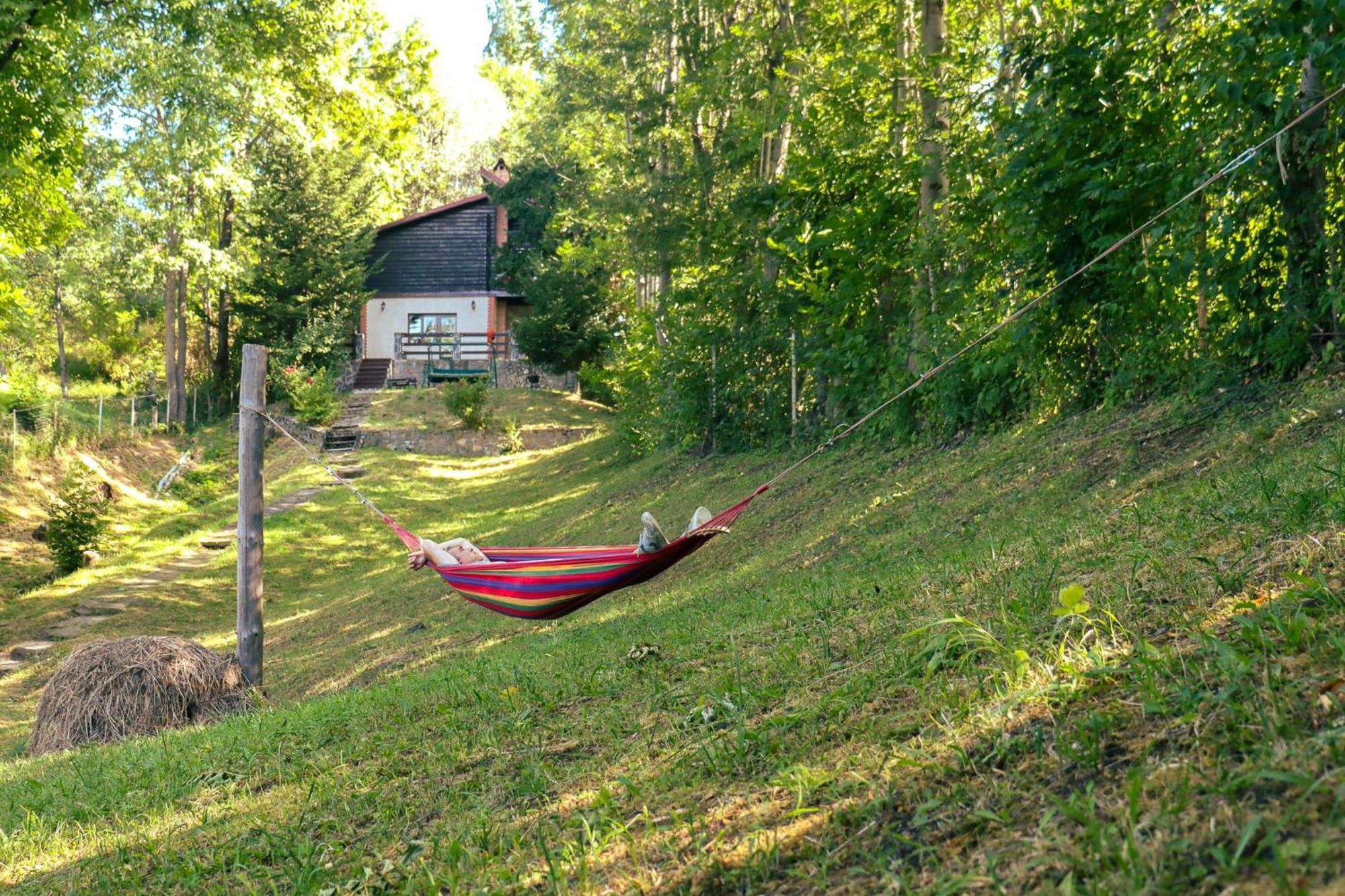 Mountain Family Chalet On Prahova Valley 코마르닉 외부 사진